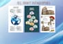 design professional infographics and data visualizations
